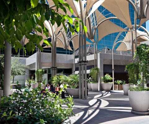Landscaping at Camelback Esplanade plaza