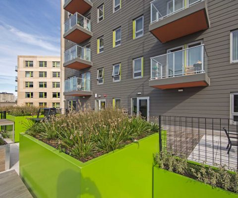 Roof deck at Clybourn 1200
